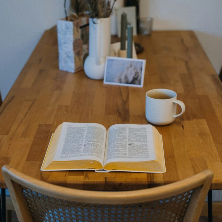 fontis-ag-kEMHYoMfhQI-unsplash